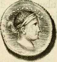 An illustration from Monumenta Patauina, Sertorii Vrsati studio collecta, digesta, explicata, suisque iconibus expressa (1652)