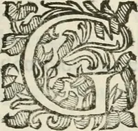 An illustration from Monumenta Patauina, Sertorii Vrsati studio collecta, digesta, explicata, suisque iconibus expressa (1652)