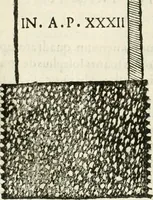 An illustration from Monumenta Patauina, Sertorii Vrsati studio collecta, digesta, explicata, suisque iconibus expressa (1652)