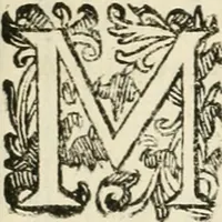 An illustration from Monumenta Patauina, Sertorii Vrsati studio collecta, digesta, explicata, suisque iconibus expressa (1652)