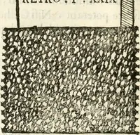 An illustration from Monumenta Patauina, Sertorii Vrsati studio collecta, digesta, explicata, suisque iconibus expressa (1652)