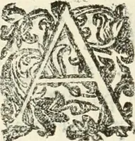 An illustration from Monumenta Patauina, Sertorii Vrsati studio collecta, digesta, explicata, suisque iconibus expressa (1652)