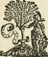 An illustration from Monumenta Patauina, Sertorii Vrsati studio collecta, digesta, explicata, suisque iconibus expressa (1652)