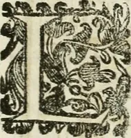 An illustration from Monumenta Patauina, Sertorii Vrsati studio collecta, digesta, explicata, suisque iconibus expressa (1652)