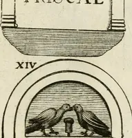 An illustration from Monumenta Patauina, Sertorii Vrsati studio collecta, digesta, explicata, suisque iconibus expressa (1652)