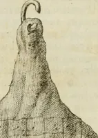 Picture 13 of 53 from Monumenta peloponnesia : commentariis explicata (1761), leaf 113