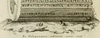 Picture 16 of 53 from Monumenta peloponnesia : commentariis explicata (1761), leaf 141