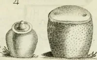 An illustration from Monumenta peloponnesia : commentariis explicata (1761)