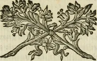 An illustration from Monumenta veteris Antii, hoc est, Inscriptio M. Aquilii et tabula solis Mithrae variis figuris & symbolis exsculpta quae nuper inibi reperta, nunc prodeunt commentari illustrata, & accuratè explicata : accedunt Dissertationes de Beleno et aliis quibusdam Aquilejensium diis. et De colonia Forojuliensi (1700)
