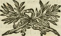 An illustration from Monumenta veteris Antii, hoc est, Inscriptio M. Aquilii et tabula solis Mithrae variis figuris & symbolis exsculpta quae nuper inibi reperta, nunc prodeunt commentari illustrata, & accuratè explicata : accedunt Dissertationes de Beleno et aliis quibusdam Aquilejensium diis. et De colonia Forojuliensi (1700)