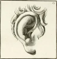 Picture 72 of 209 from Monumenti antichi inediti (1767), leaf 187