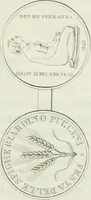 Picture 12 of 21 from Monumenti del Giardino Puccini (1845), leaf 295