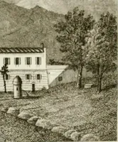 Picture 19 of 21 from Monumenti del Giardino Puccini (1845), leaf 624