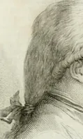 An illustration from Monumenti del Giardino Puccini (1845)