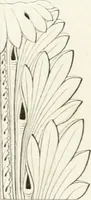 An illustration from Monumenti di fabbriche antiche estratti dai disegni dei piu celebri autori (1796)