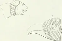 Picture 44 of 57 from Monumenti etruschi o di etrusco nome (1821), leaf 486