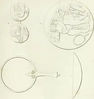 An illustration from Monumenti etruschi o di etrusco nome (1821)