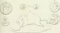 An illustration from Monumenti etruschi o di etrusco nome (1821)
