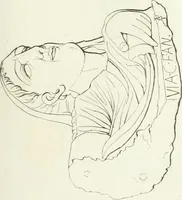 An illustration from Monumenti etruschi o di etrusco nome (1821)