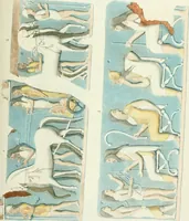 An illustration from Monumenti etruschi o di etrusco nome (1821)