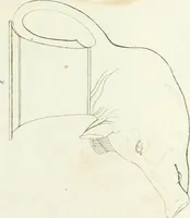 An illustration from Monumenti etruschi o di etrusco nome (1821)
