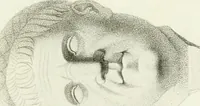 An illustration from Monumenti etruschi o di etrusco nome (1821)