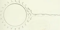 An illustration from Monumenti etruschi o di etrusco nome (1821)