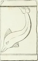 An illustration from Monumenti etruschi o di etrusco nome (1821)
