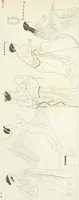 An illustration from Monumenti etruschi o di etrusco nome (1821)