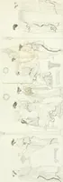An illustration from Monumenti etruschi o di etrusco nome (1821)