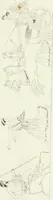 An illustration from Monumenti etruschi o di etrusco nome (1821)