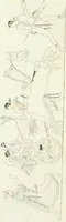 An illustration from Monumenti etruschi o di etrusco nome (1821)