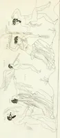 An illustration from Monumenti etruschi o di etrusco nome (1821)