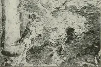 An illustration from Monuments of the early church (1901)