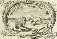 Picture 69 of 74 from Monumentum extremi honoris, perennis virtutis piis manibus serenissimi ac potentissimi principis Ferdinandi Mariae, utriusque Bavariae at superioris Palatinatus ducis ... : in Regio Electorali Templo RR. PP. Clericorum Regularium erectum ac nuncupatum (1679), leaf 180