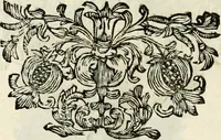 An illustration from Monumentum extremi honoris, perennis virtutis piis manibus serenissimi ac potentissimi principis Ferdinandi Mariae, utriusque Bavariae at superioris Palatinatus ducis ... : in Regio Electorali Templo RR. PP. Clericorum Regularium erectum ac nuncupatum (1679)