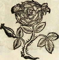 An illustration from Monumentum extremi honoris, perennis virtutis piis manibus serenissimi ac potentissimi principis Ferdinandi Mariae, utriusque Bavariae at superioris Palatinatus ducis ... : in Regio Electorali Templo RR. PP. Clericorum Regularium erectum ac nuncupatum (1679)