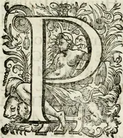 An illustration from Monumentum extremi honoris, perennis virtutis piis manibus serenissimi ac potentissimi principis Ferdinandi Mariae, utriusque Bavariae at superioris Palatinatus ducis ... : in Regio Electorali Templo RR. PP. Clericorum Regularium erectum ac nuncupatum (1679)