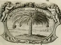 An illustration from Monumentum extremi honoris : perennis virtutis piis manibus serenissimi ac potentissimi principis Ferdinandi Mariae, utriusque Bavariae, ac superioris Palatinatus ducis ... : in Regio Electorali Templo RR. PP. Clericorum Regularium erectum ac nuncupatum (1679)
