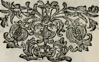 An illustration from Monumentum extremi honoris : perennis virtutis piis manibus serenissimi ac potentissimi principis Ferdinandi Mariae, utriusque Bavariae, ac superioris Palatinatus ducis ... : in Regio Electorali Templo RR. PP. Clericorum Regularium erectum ac nuncupatum (1679)