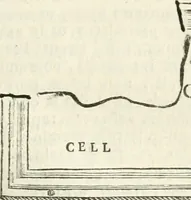 An illustration from Monumentum sive columbarium libertorum et servorum Liviae Augustae et Caesarum : Romae detectum in Via Appia, anno M.D.CC.XXVI. (1727)