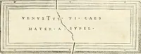 Picture 67 of 192 from Monumentum sive columbarium libertorum et servorum Liviae Augustae et Caesarum : Romae detectum in Via Appia, anno M.D.CC.XXVI. (1727), leaf 200