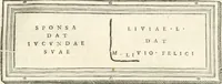 An illustration from Monumentum sive columbarium libertorum et servorum Liviae Augustae et Caesarum : Romae detectum in Via Appia, anno M.D.CC.XXVI. (1727)