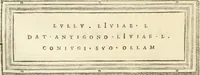 Picture 90 of 192 from Monumentum sive columbarium libertorum et servorum Liviae Augustae et Caesarum : Romae detectum in Via Appia, anno M.D.CC.XXVI. (1727), leaf 218