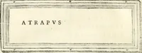 An illustration from Monumentum sive columbarium libertorum et servorum Liviae Augustae et Caesarum : Romae detectum in Via Appia, anno M.D.CC.XXVI. (1727)
