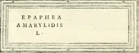 Picture 95 of 192 from Monumentum sive columbarium libertorum et servorum Liviae Augustae et Caesarum : Romae detectum in Via Appia, anno M.D.CC.XXVI. (1727), leaf 223