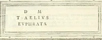 An illustration from Monumentum sive columbarium libertorum et servorum Liviae Augustae et Caesarum : Romae detectum in Via Appia, anno M.D.CC.XXVI. (1727)