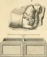 Picture 181 of 192 from Monumentum sive columbarium libertorum et servorum Liviae Augustae et Caesarum : Romae detectum in Via Appia, anno M.D.CC.XXVI. (1727), leaf 315