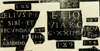 Picture 59 of 66 from Monvmenta antiqva vrbis et agri Brixiani (1564), leaf 62
