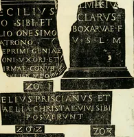 Picture 62 of 66 from Monvmenta antiqva vrbis et agri Brixiani (1564), leaf 66